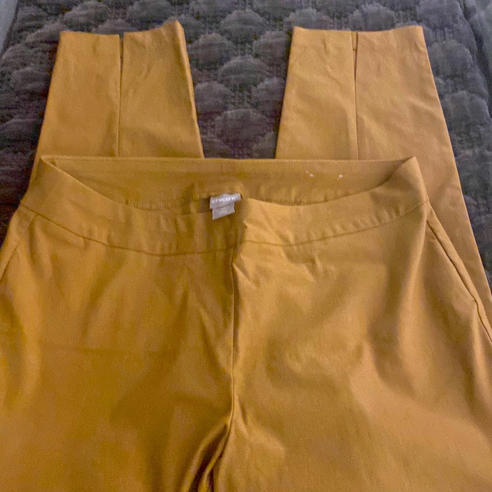 Chico’s adorable pants!